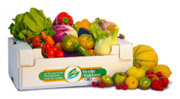 Cassetta frutta e verdura fresca